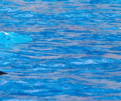 Splashdiving-Bremen-Stadionbad-27-07-2008 – Foto 18