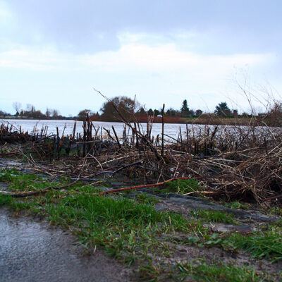Unwetter Bremen:Hastedter Osterdeich Kyrill 20-01-2007 – Foto 5