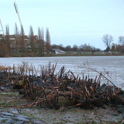 Unwetter Bremen:Hastedter Osterdeich Kyrill 20-01-2007 – Foto 6