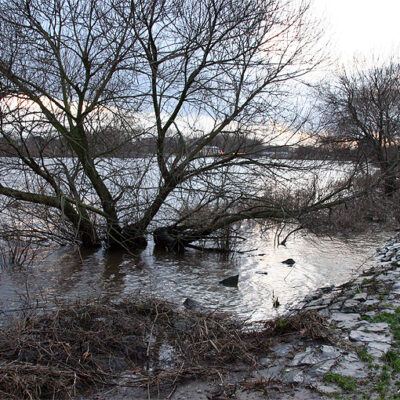 Unwetter Bremen:Hastedter Osterdeich Kyrill 20-01-2007 – Foto 7