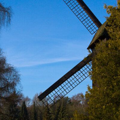 Vogelpark Walsrode im Januar 2009 – Foto 4