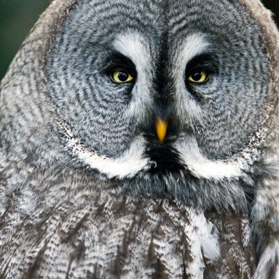 Vogelpark Walsrode im Januar 2009 – Foto 18