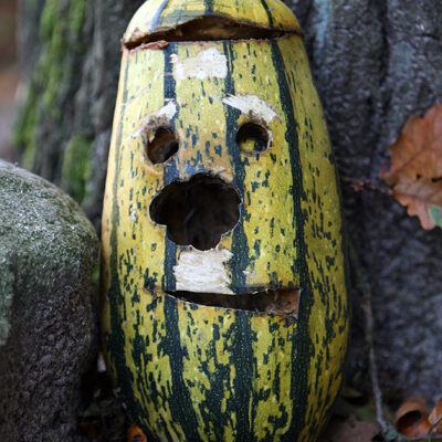 Galerie – Wildpark-Lueneburger-Heide – Foto 3