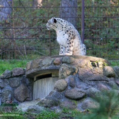 Galerie – Wildpark-Lueneburger-Heide – Foto 23