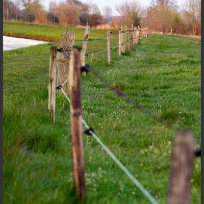 Fototour:Wuemme-Suedarm-Langwedel-Daverden-22-04-2008 – Foto 4