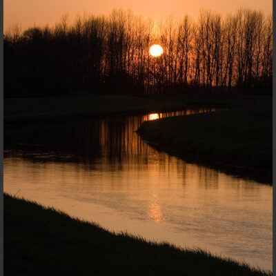 Fototour:Wuemme-Suedarm-Langwedel-Daverden-22-04-2008 – Foto 5